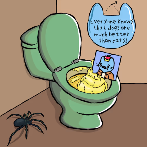 Usedtoiletswtf