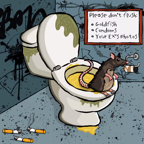 Usedtoiletswtf