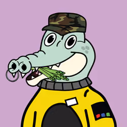 GATOR-RAID #3657