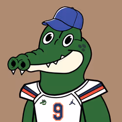 GATOR-RAID #1623