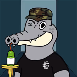 GATOR-RAID #1427