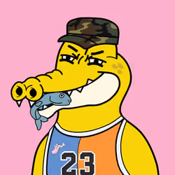 GATOR-RAID #3160