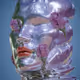 Singularities