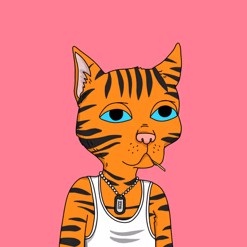 Gutter Cat #2411