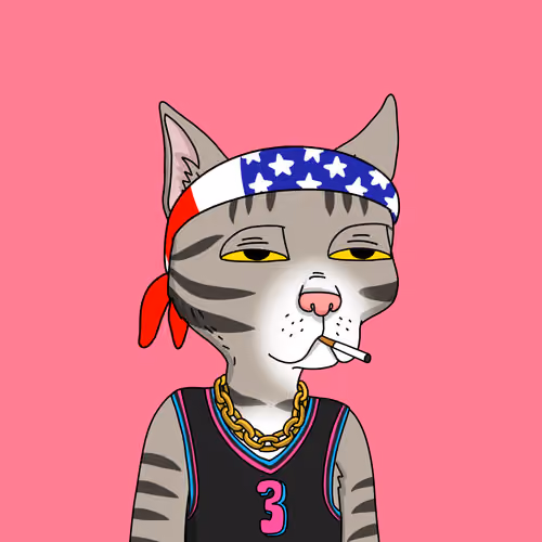 Gutter Cat #1833