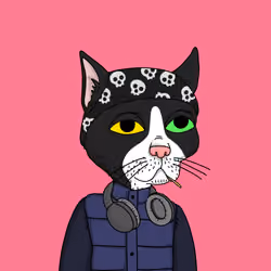 Gutter Cat #1270