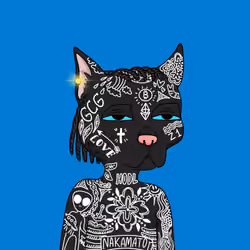 Gutter Cat #2558