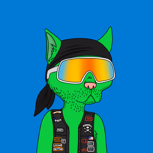 Gutter Cat #2417