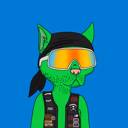 Gutter Cat #2417