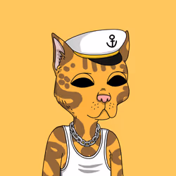Gutter Cat #2061