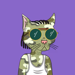 Gutter Cat #2085