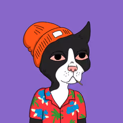Gutter Cat #565