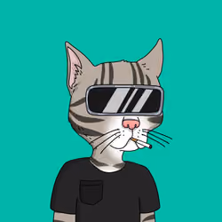 Gutter Cat #2774