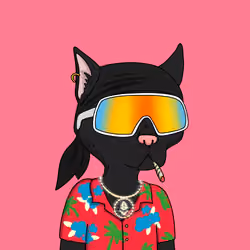 Gutter Cat #2719