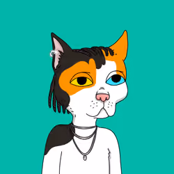 Gutter Cat #2965