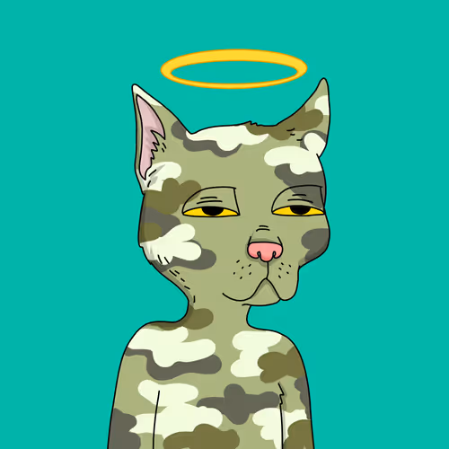 Gutter Cat #2406