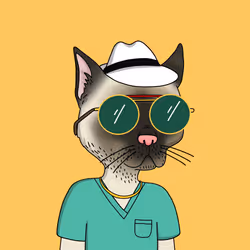 Gutter Cat #2020