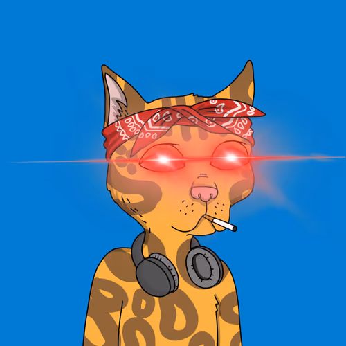 Gutter Cat #2523