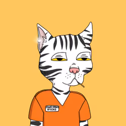 Gutter Cat #1371