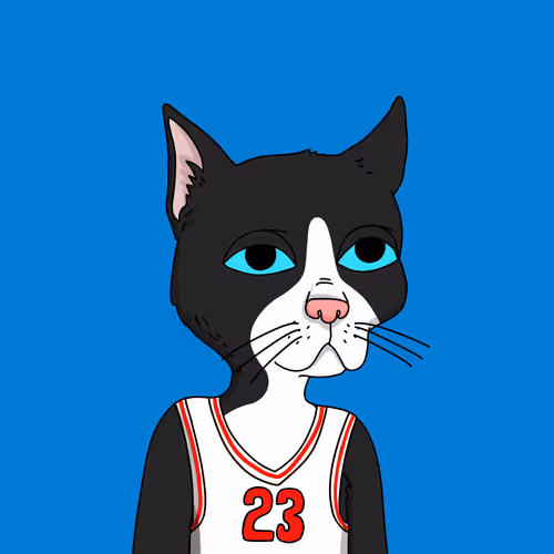 Gutter Cat #1300