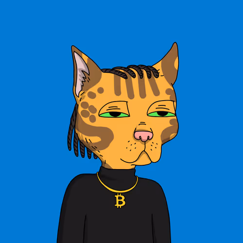 Gutter Cat #2973