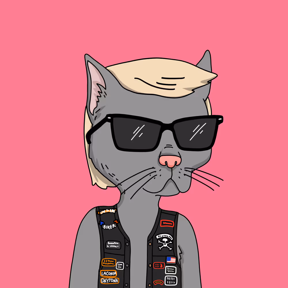 Gutter Cat #2991