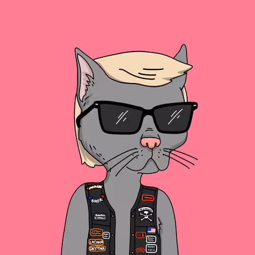 Gutter Cat #2991