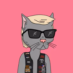 Gutter Cat #2991