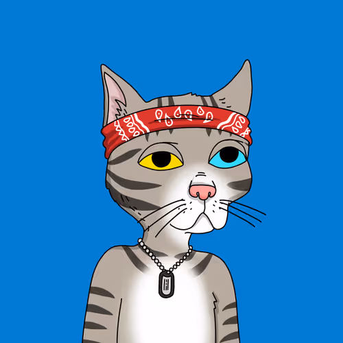 Gutter Cat #1518