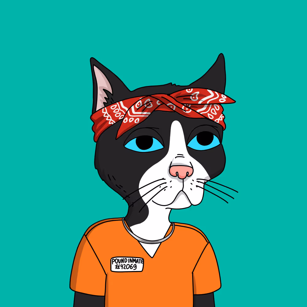 Gutter Cat #2957