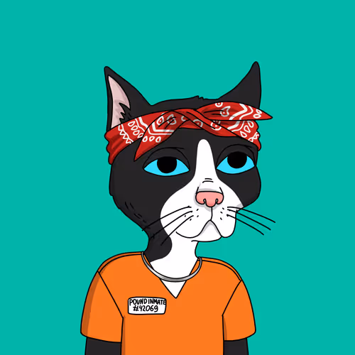Gutter Cat #2957