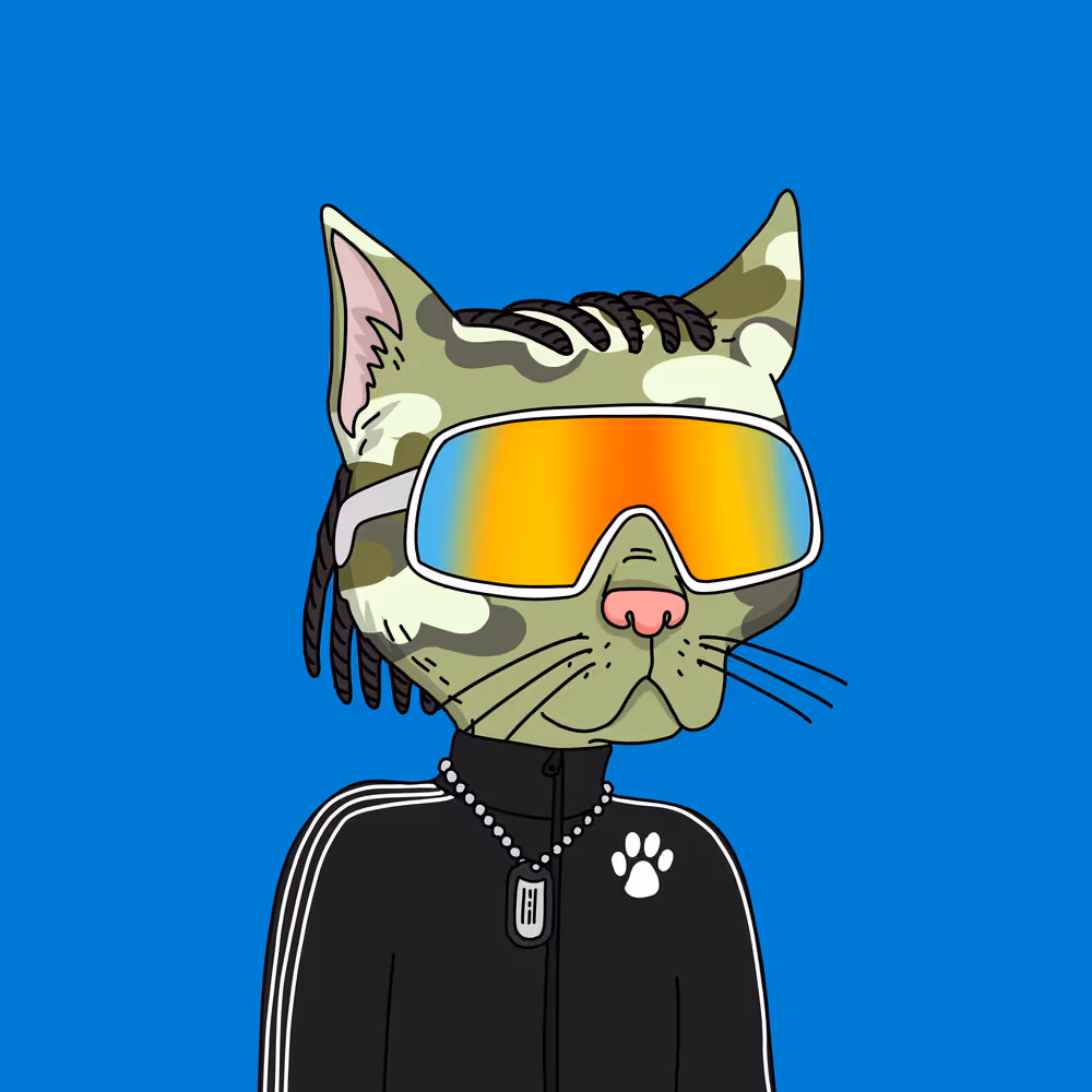 Gutter Cat #2990