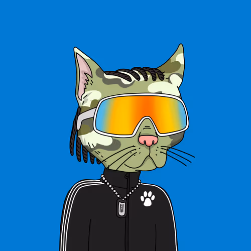 Gutter Cat #2990