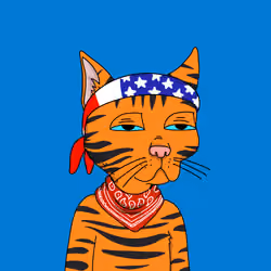 Gutter Cat #2055