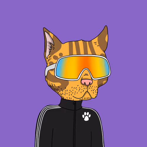 Gutter Cat #2853