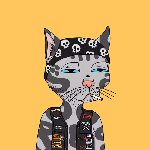 Gutter Cat #1713
