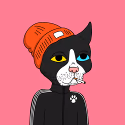 Gutter Cat #1479