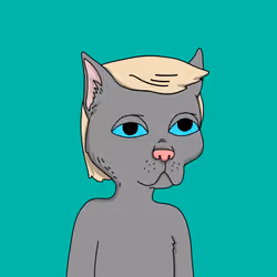 Gutter Cat #2877