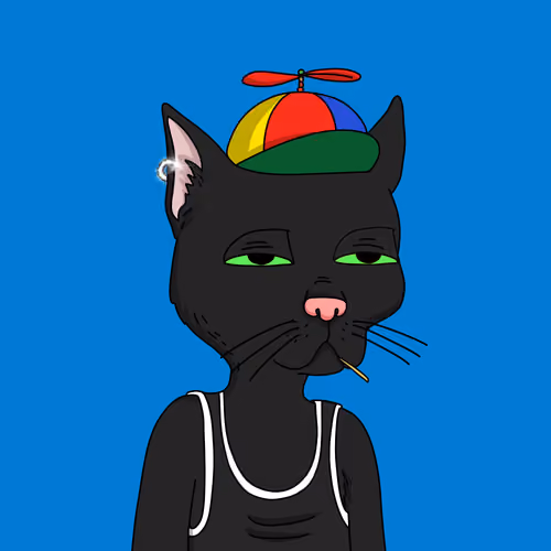 Gutter Cat #1636