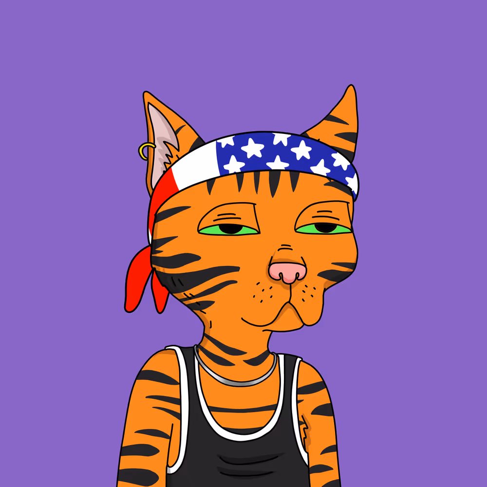 Gutter Cat #2998