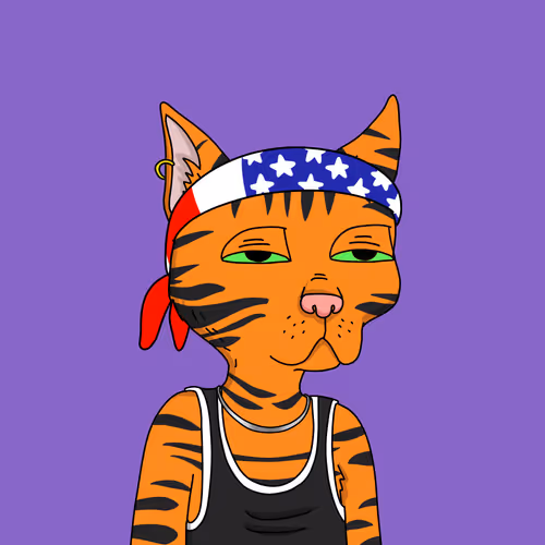 Gutter Cat #2998