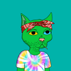 Gutter Cat #1571