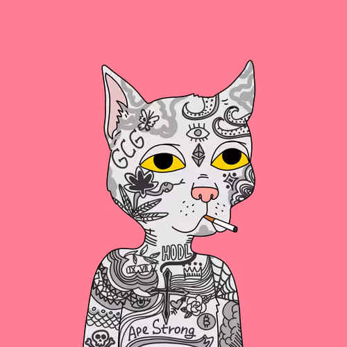 Gutter Cat #2639