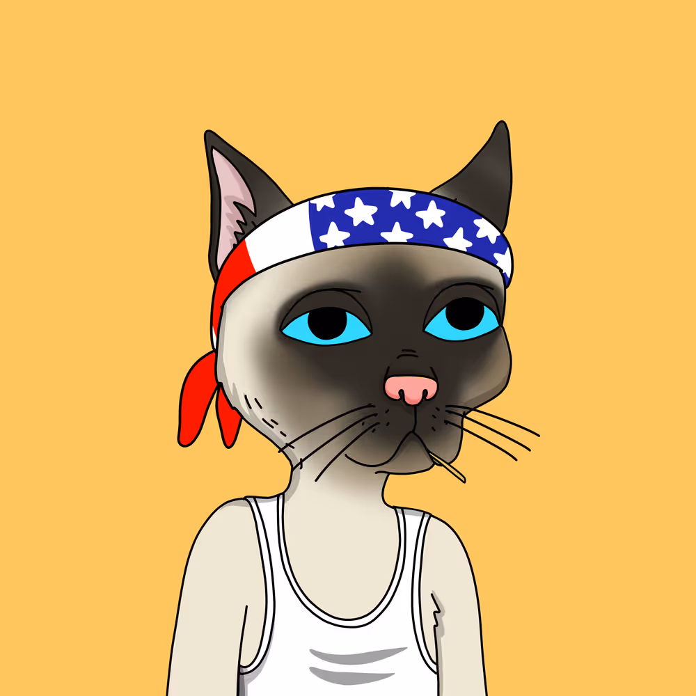 Gutter Cat #2972