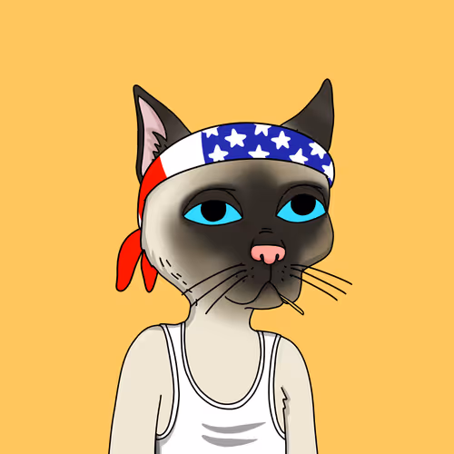 Gutter Cat #2972