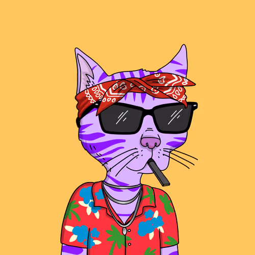 Gutter Cat #1619