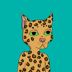 Gutter Cat #1426