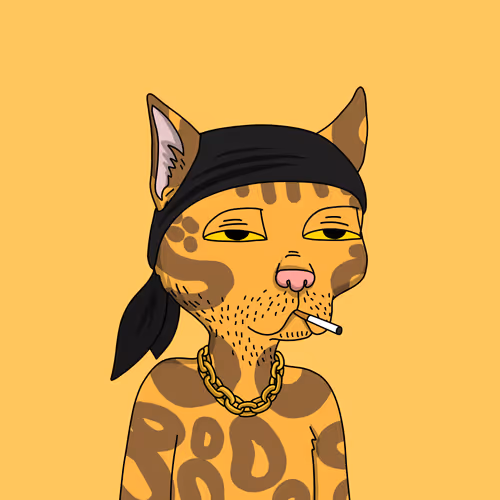 Gutter Cat #1868