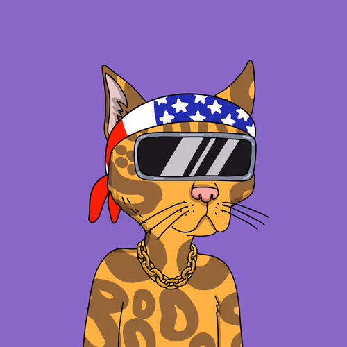 Gutter Cat #2632
