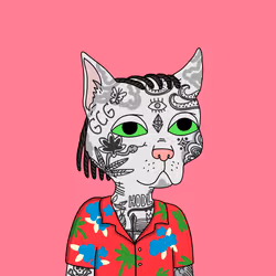 Gutter Cat #2892